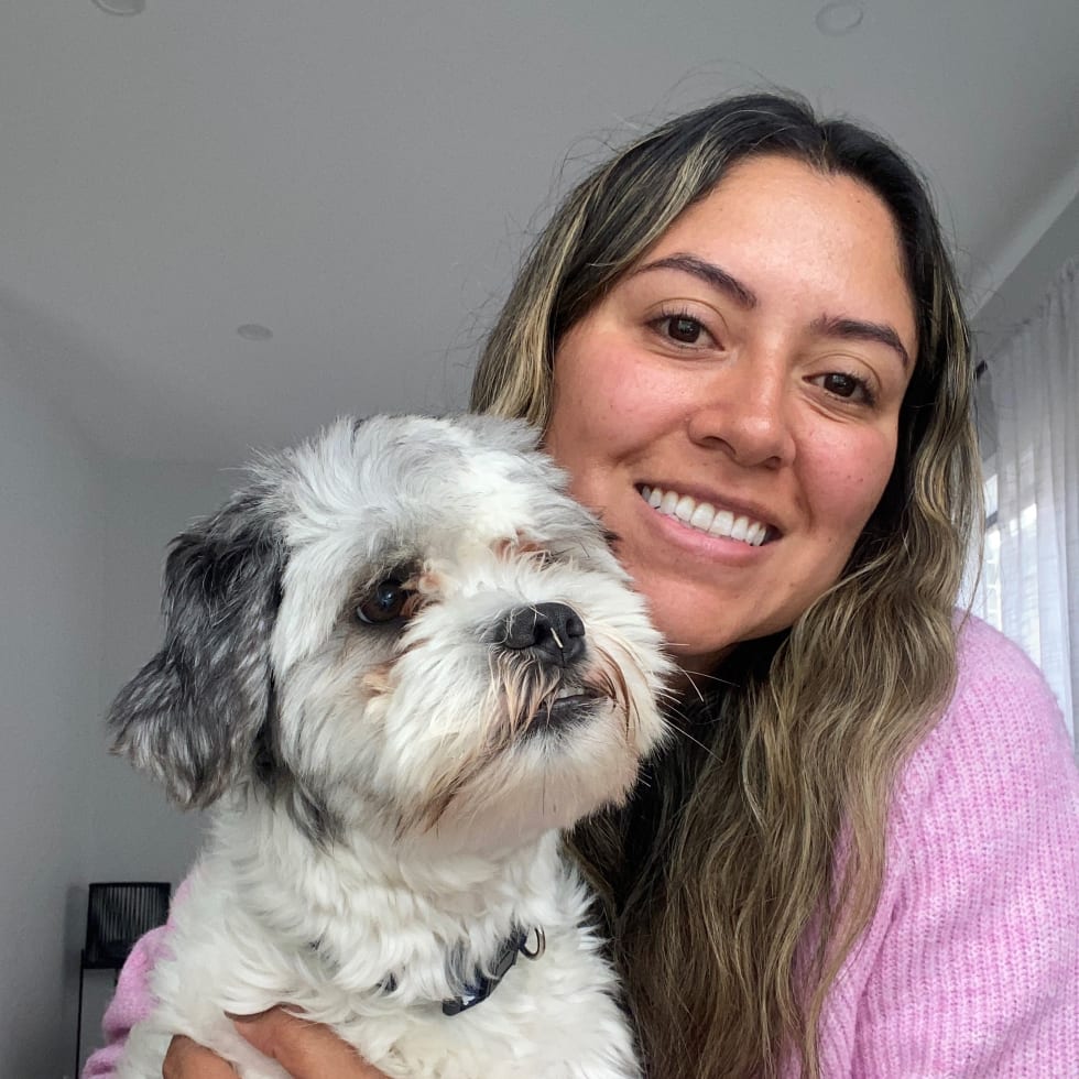 Photo in Sitter's gallery