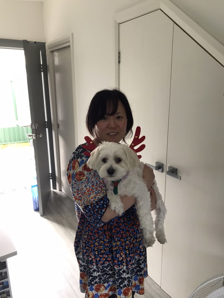 Photo in Sitter's gallery