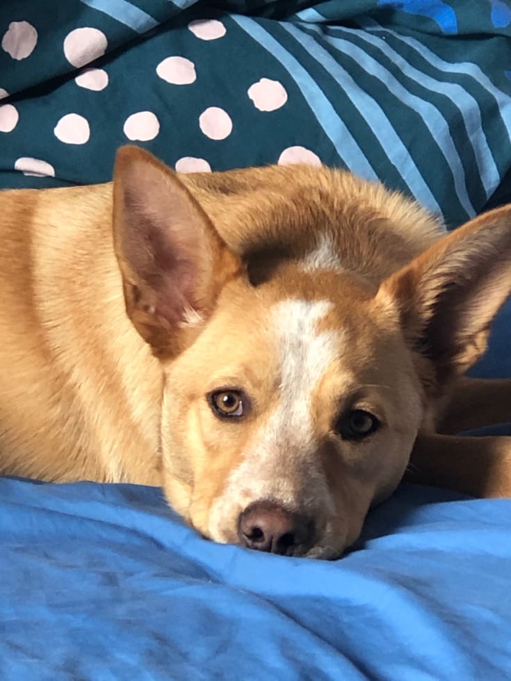 Photo in Sitter's gallery