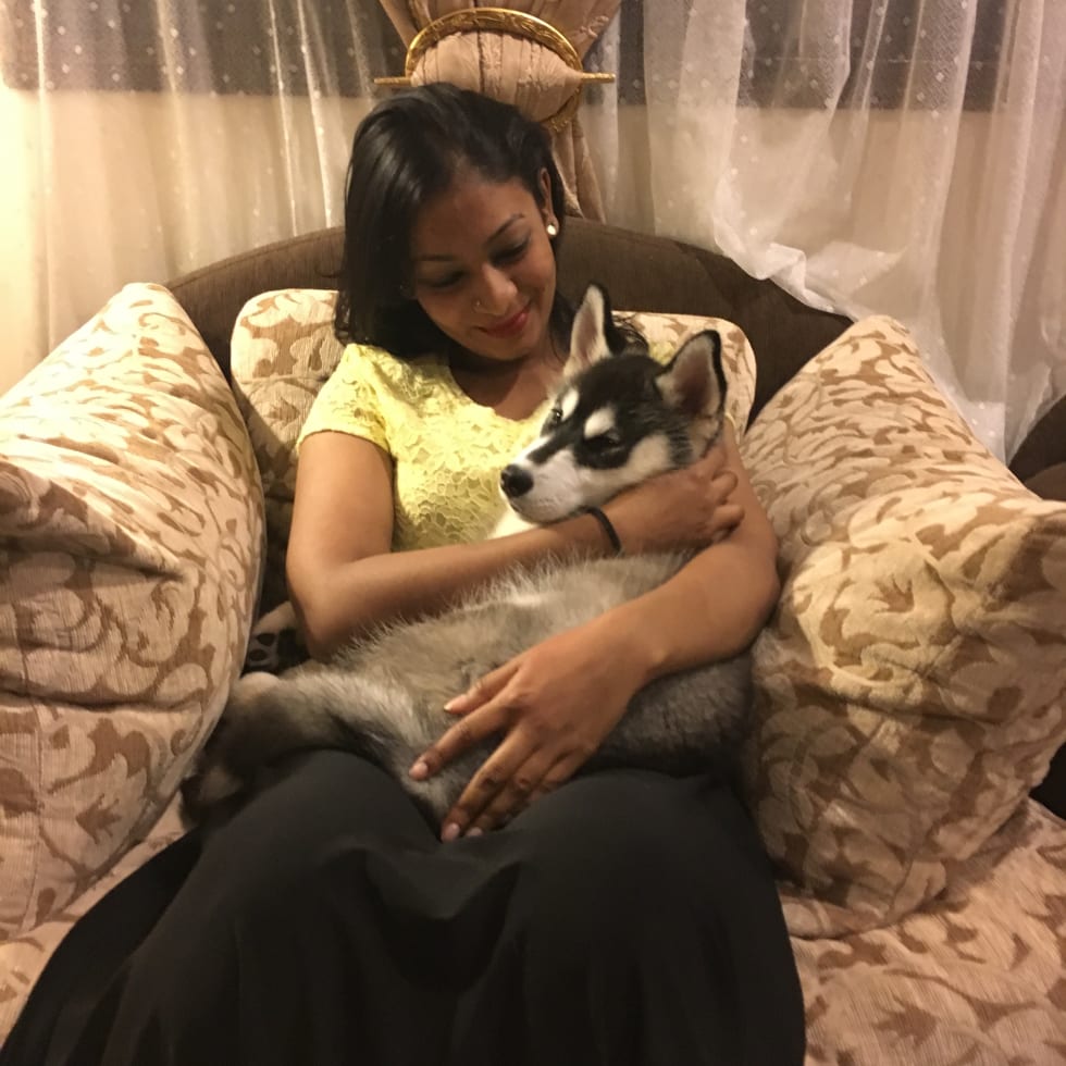 Photo in Sitter's gallery