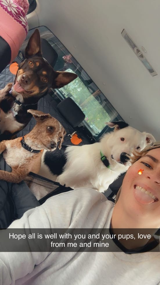 Photo in Sitter's gallery