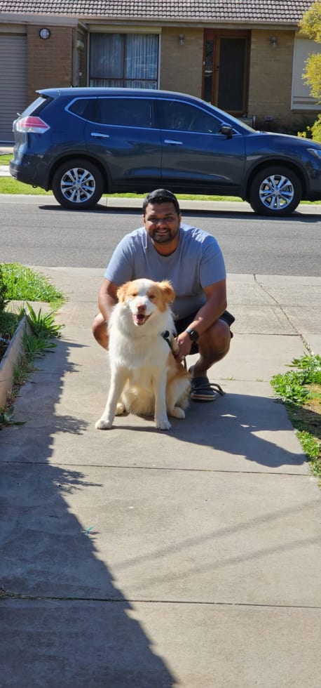 Photo in Sitter's gallery