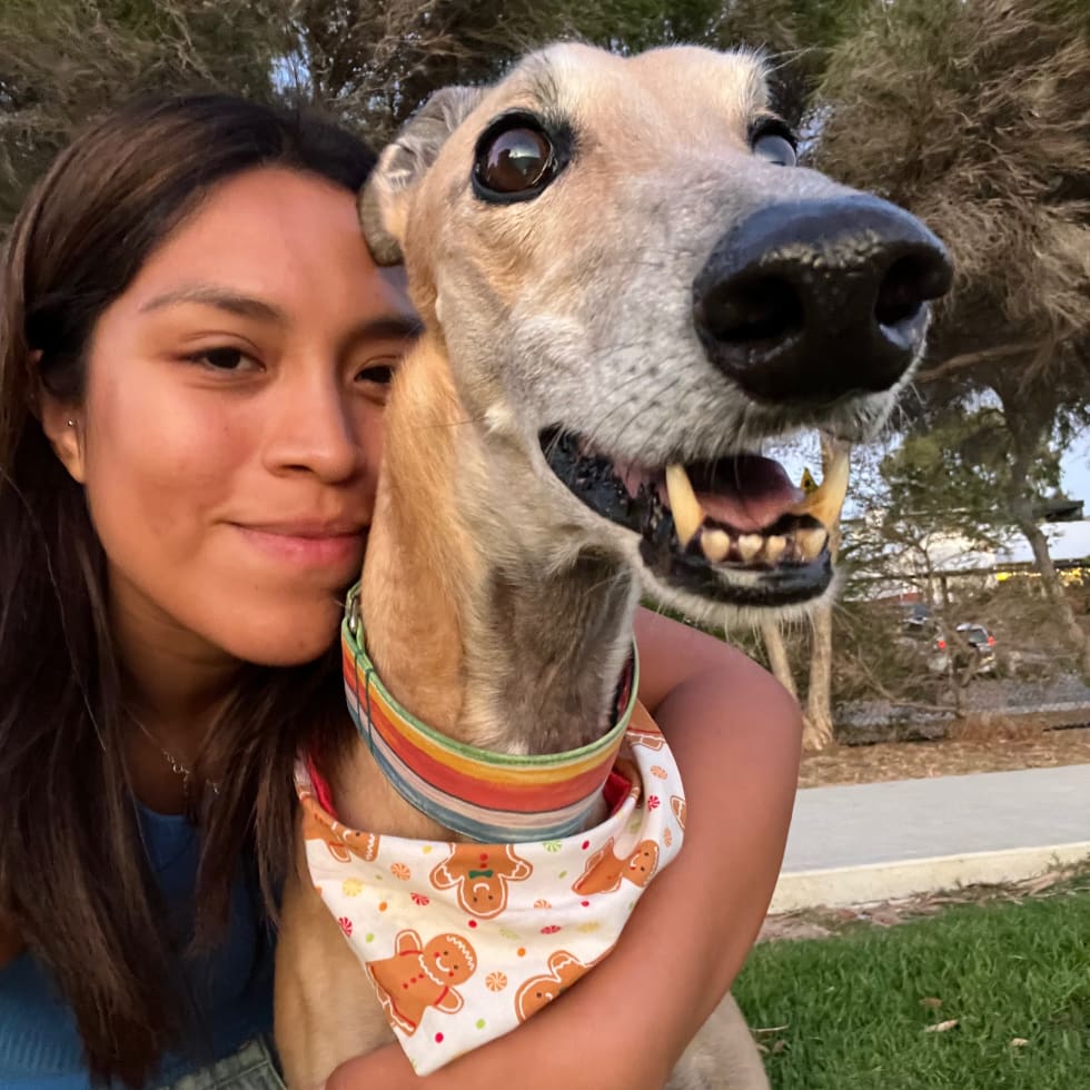 Photo in Sitter's gallery