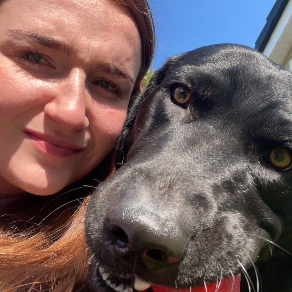 Photo in Sitter's gallery