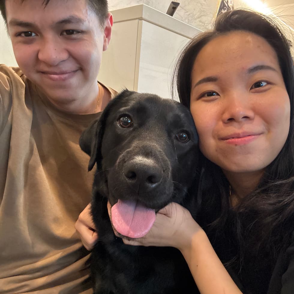 Photo in Sitter's gallery