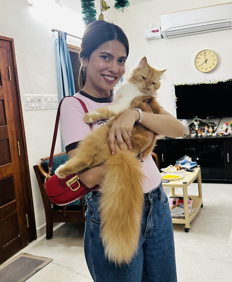 Photo in Sitter's gallery