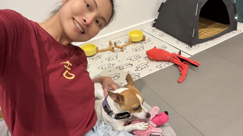 Photo in Sitter's gallery