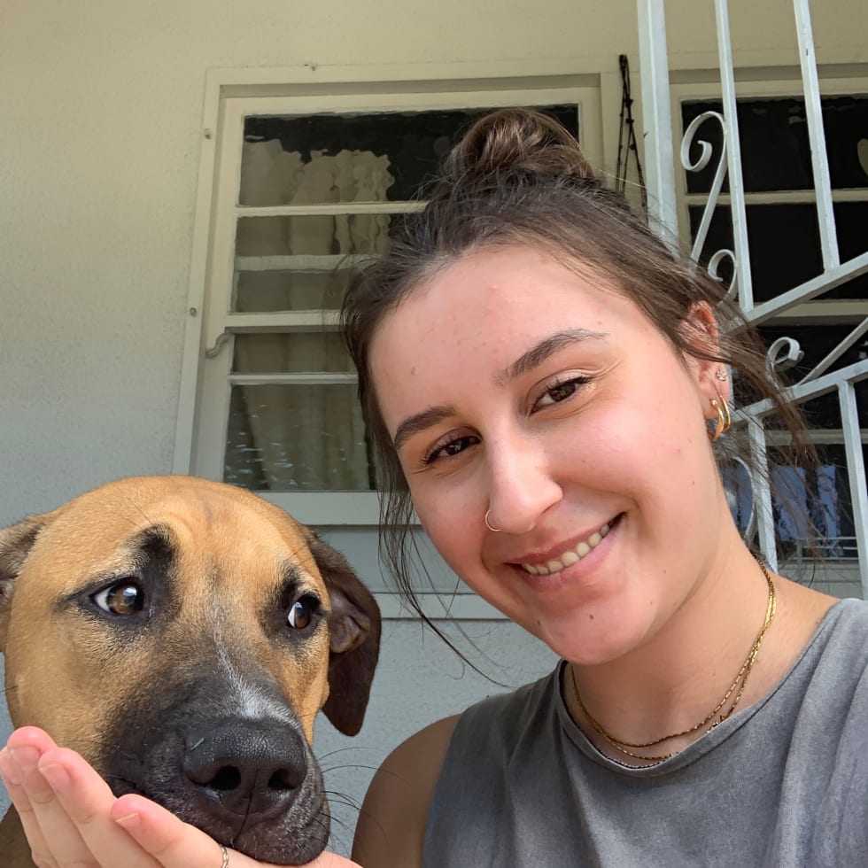 Photo in Sitter's gallery