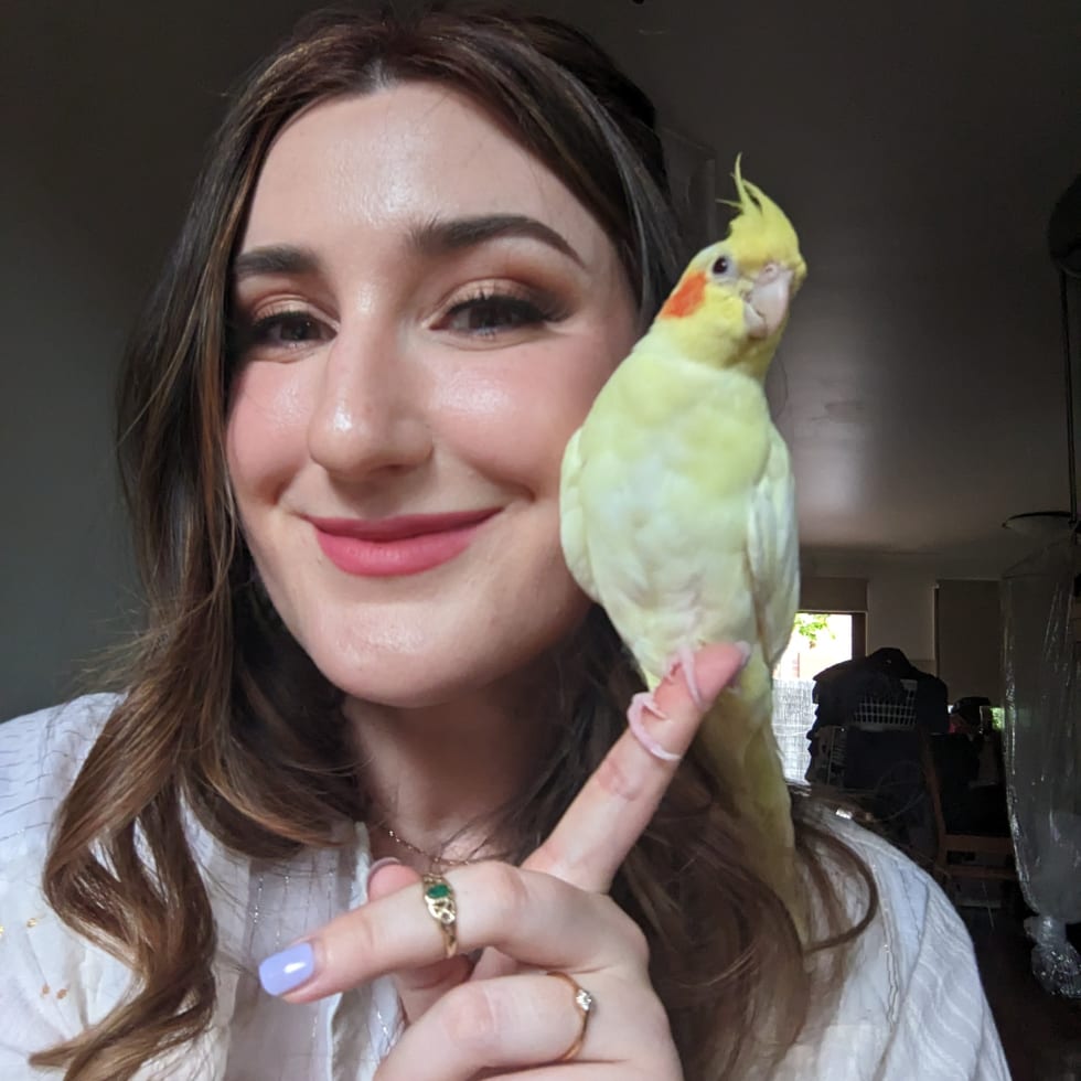 Photo in Sitter's gallery