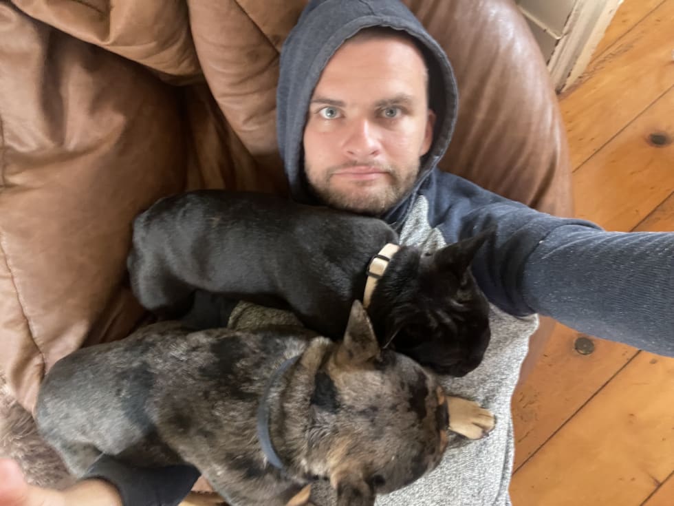 Photo in Sitter's gallery