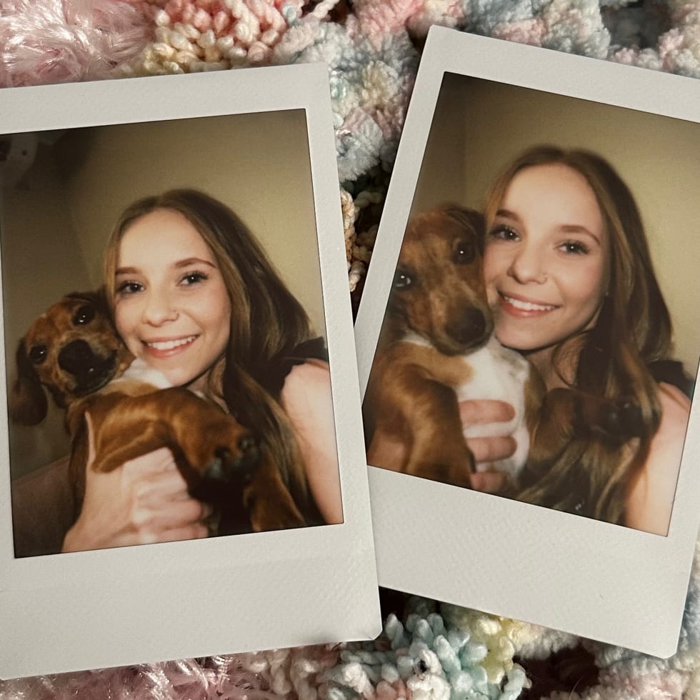 Photo in Sitter's gallery