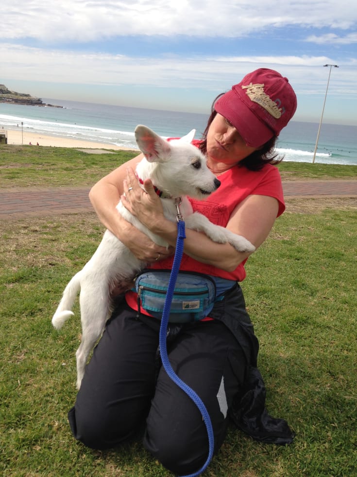 Photo in Sitter's gallery