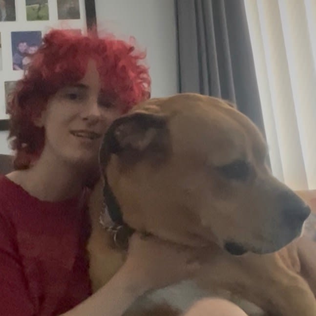 Photo in Sitter's gallery