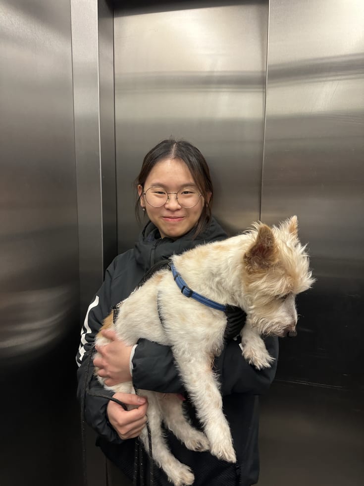 Photo in Sitter's gallery