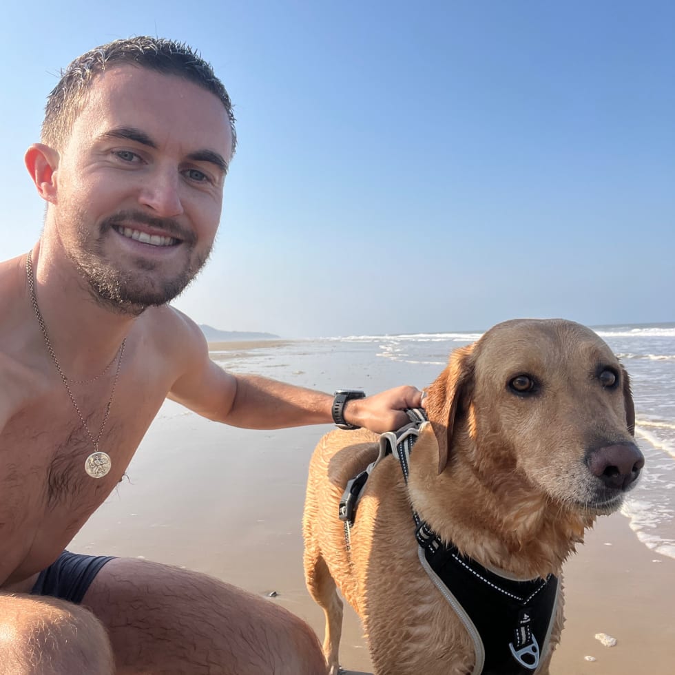 Photo in Sitter's gallery