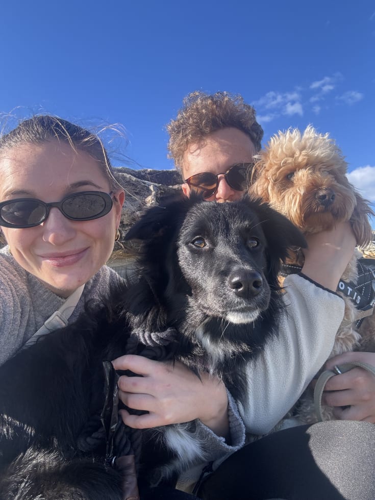 Photo in Sitter's gallery