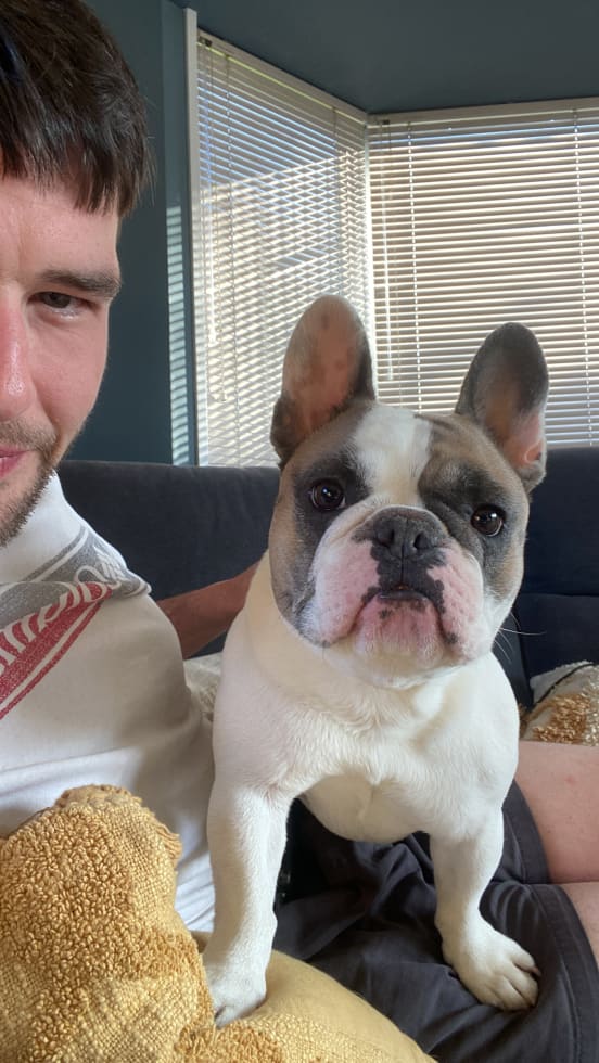 Photo in Sitter's gallery