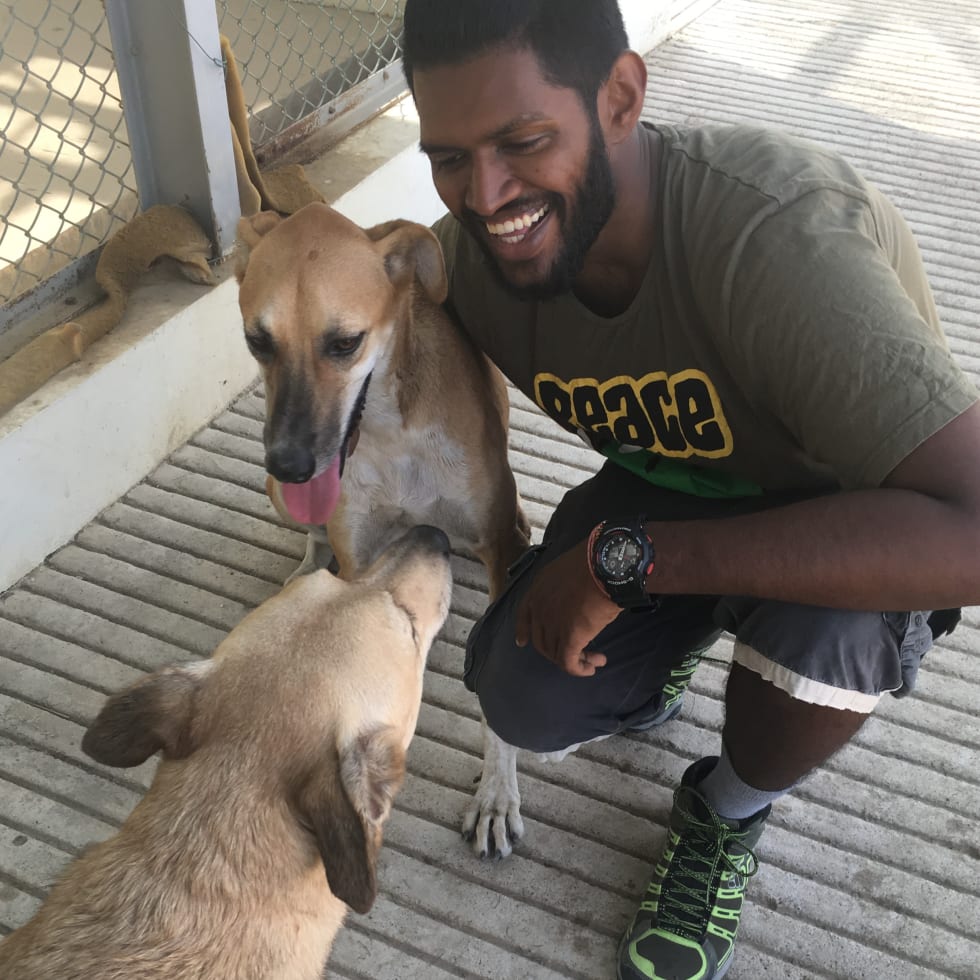 Photo in Sitter's gallery