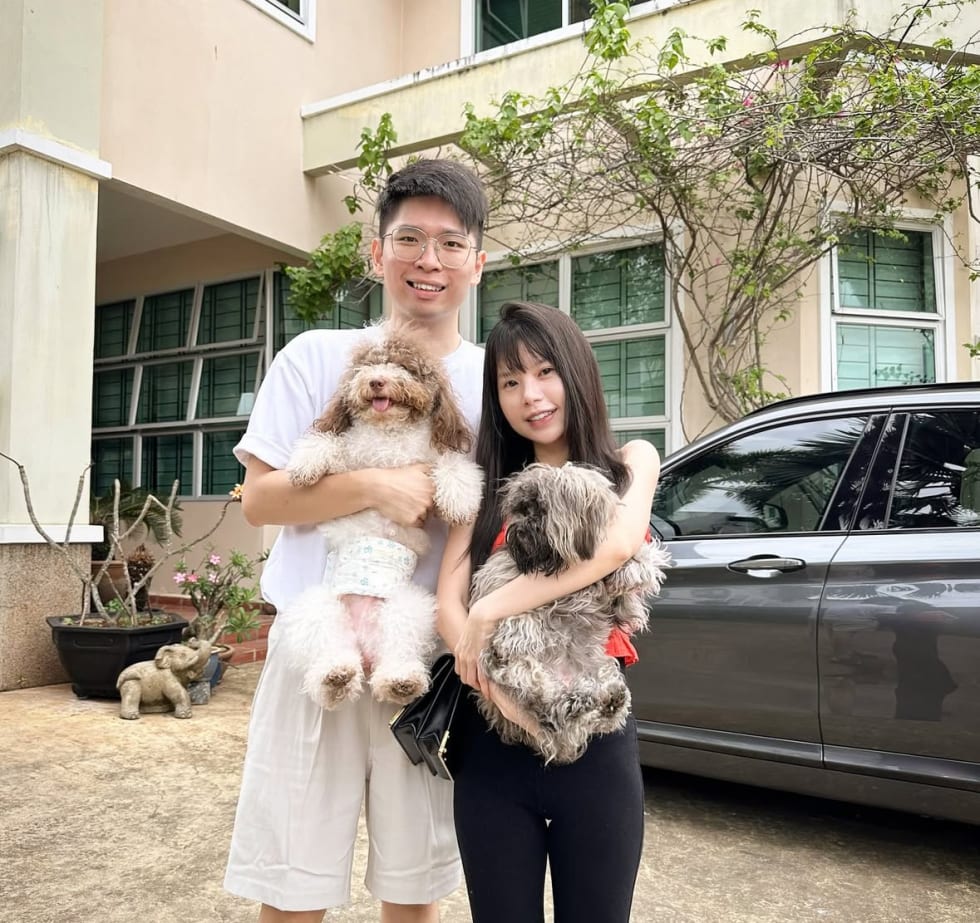 Photo in Sitter's gallery