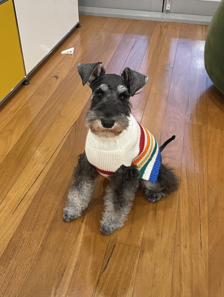 Photo in Sitter's gallery