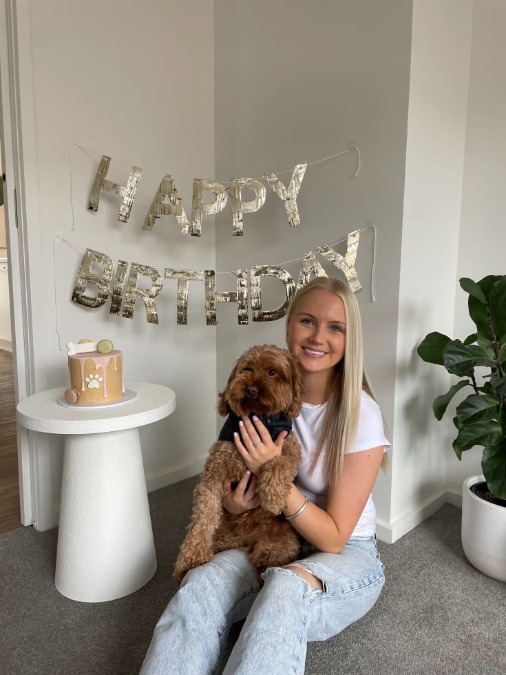 Photo in Sitter's gallery