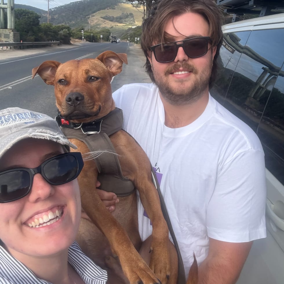 Photo in Sitter's gallery