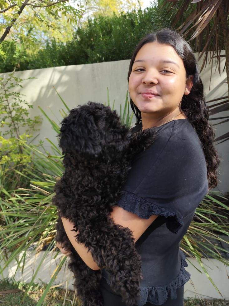 Photo in Sitter's gallery