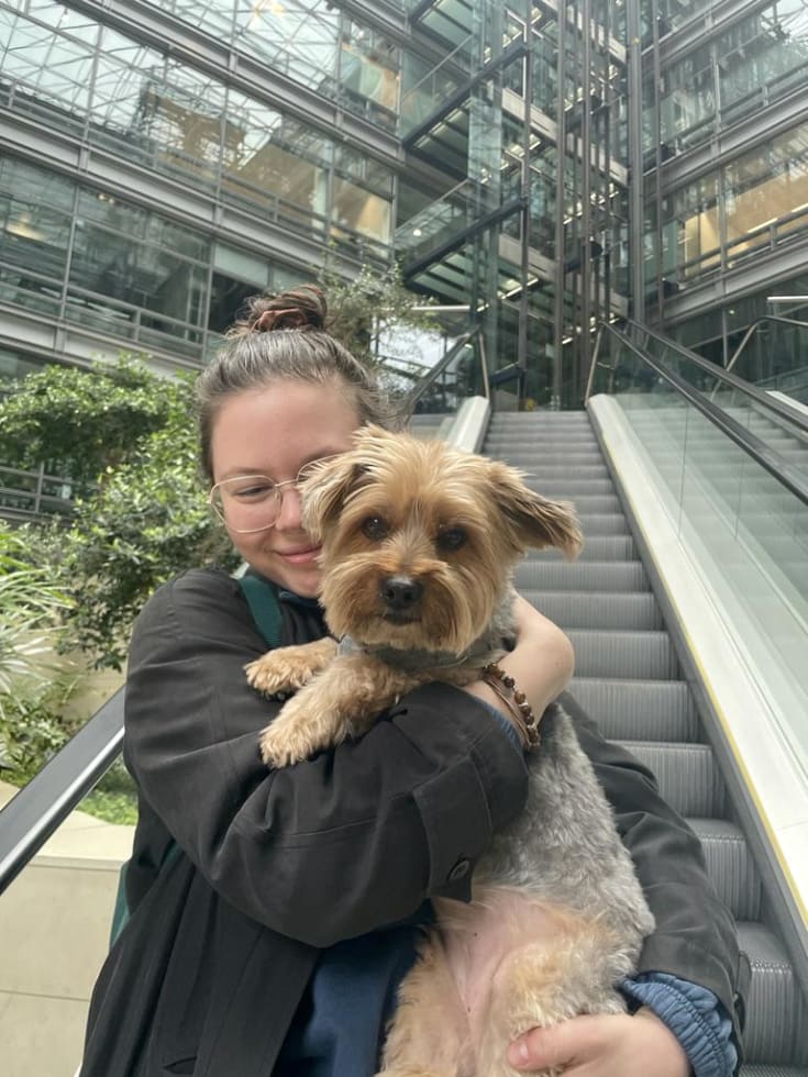 Photo in Sitter's gallery