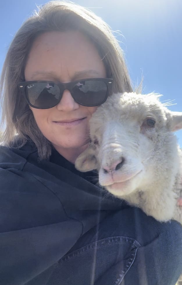 Photo in Sitter's gallery