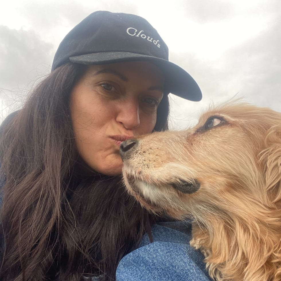 Photo in Sitter's gallery