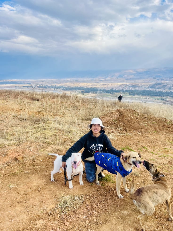 Photo in Sitter's gallery