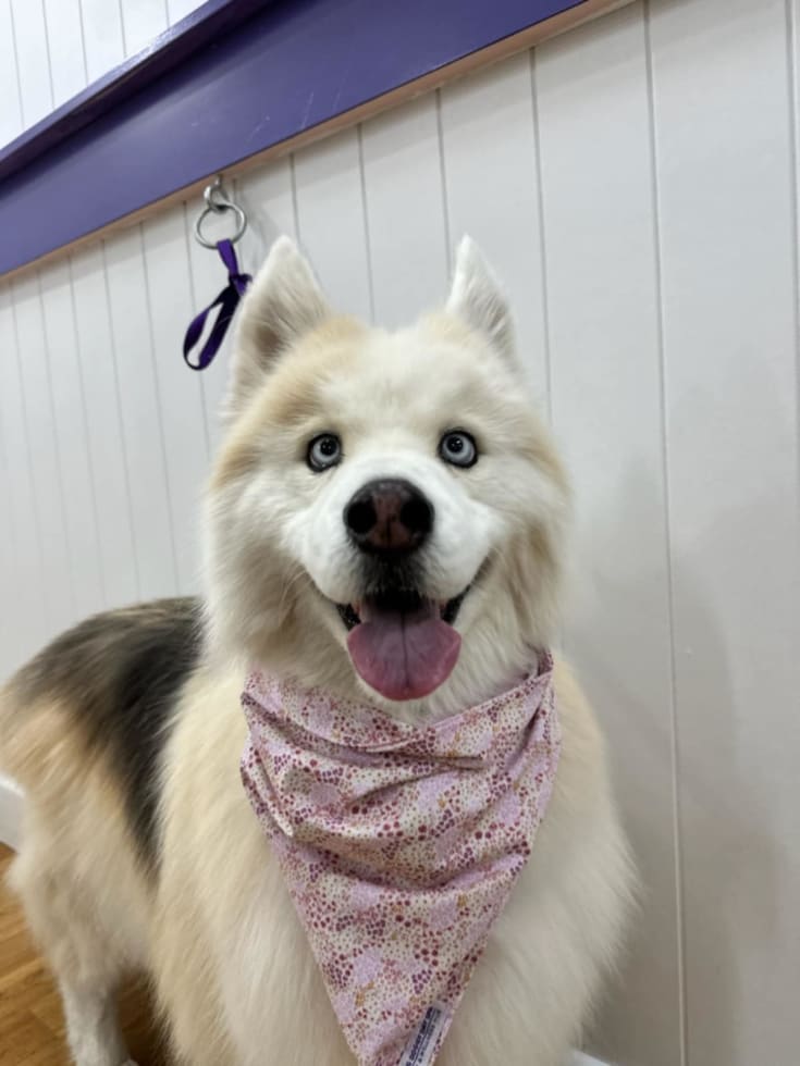 Photo in Sitter's gallery