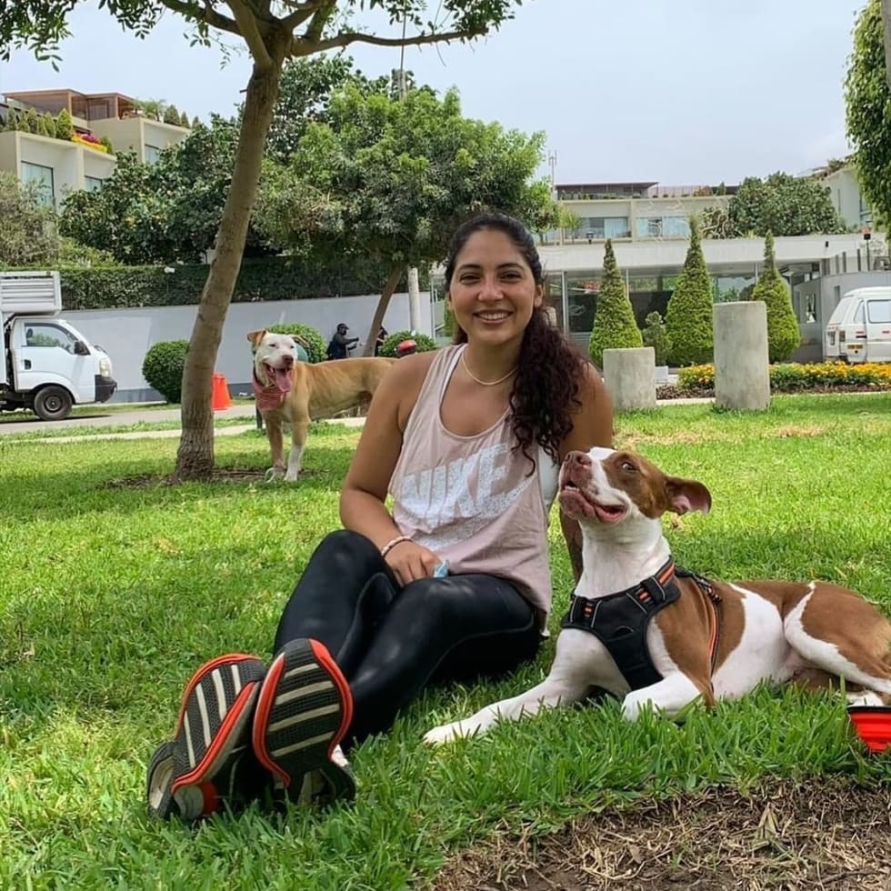 Photo in Sitter's gallery