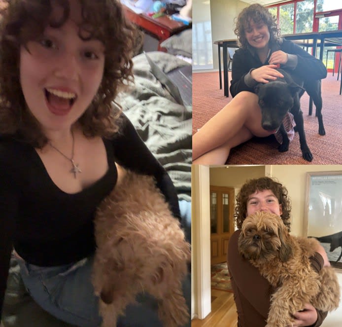 Photo in Sitter's gallery