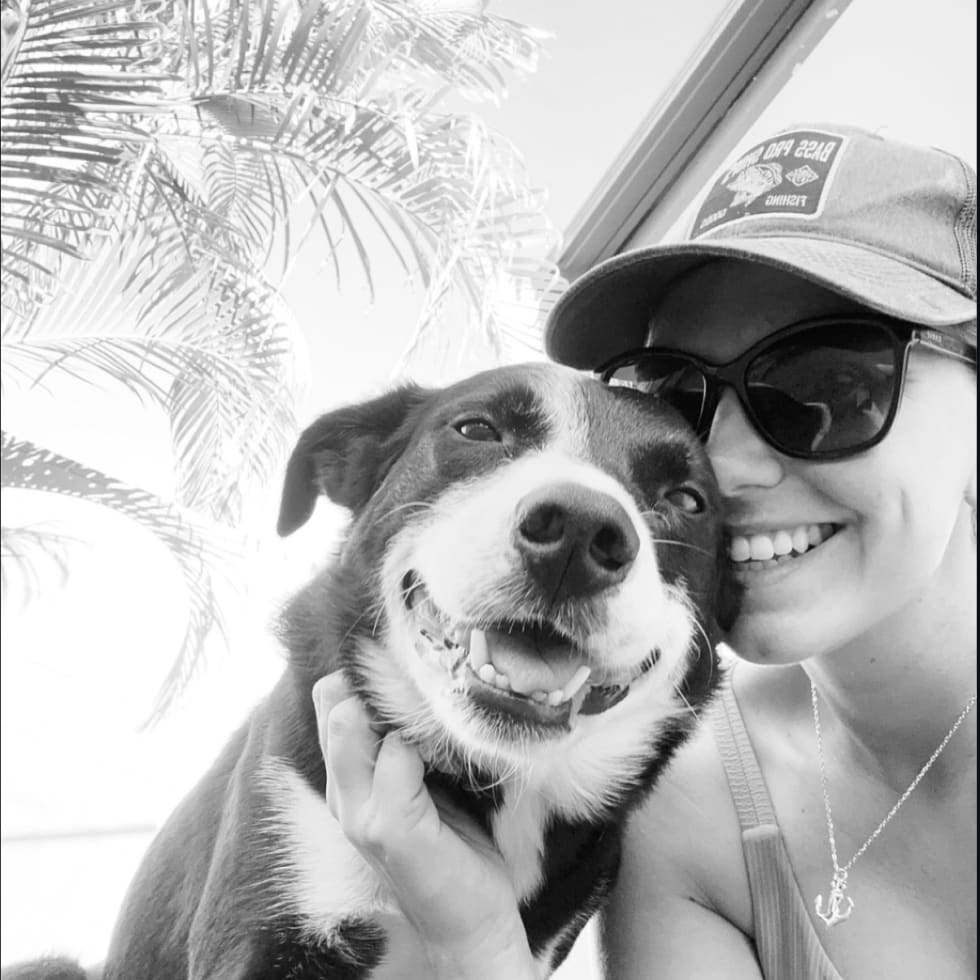 Photo in Sitter's gallery