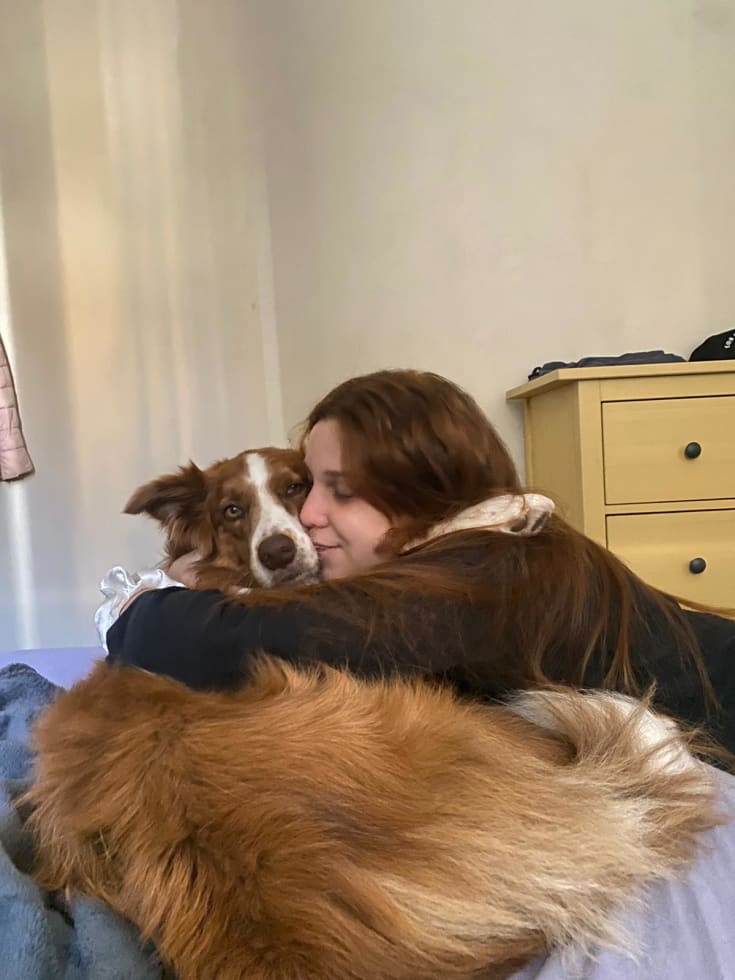 Photo in Sitter's gallery