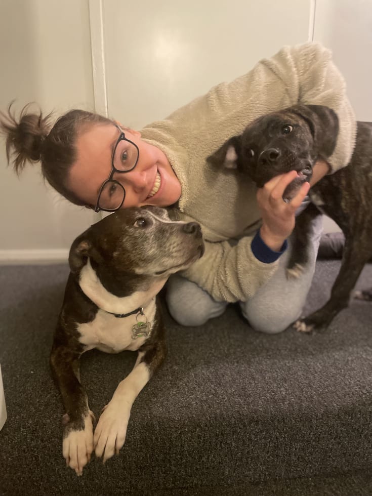 Photo in Sitter's gallery