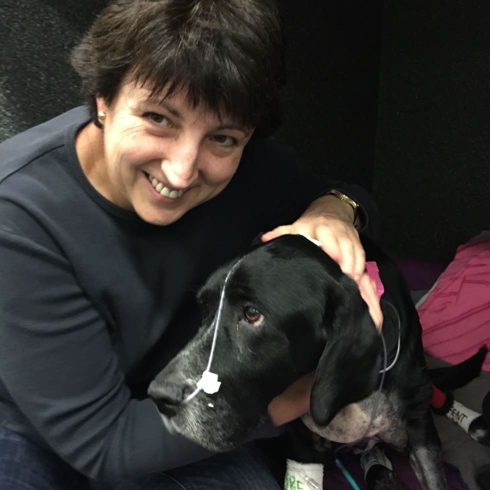 Photo in Sitter's gallery