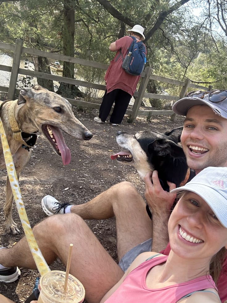 Photo in Sitter's gallery