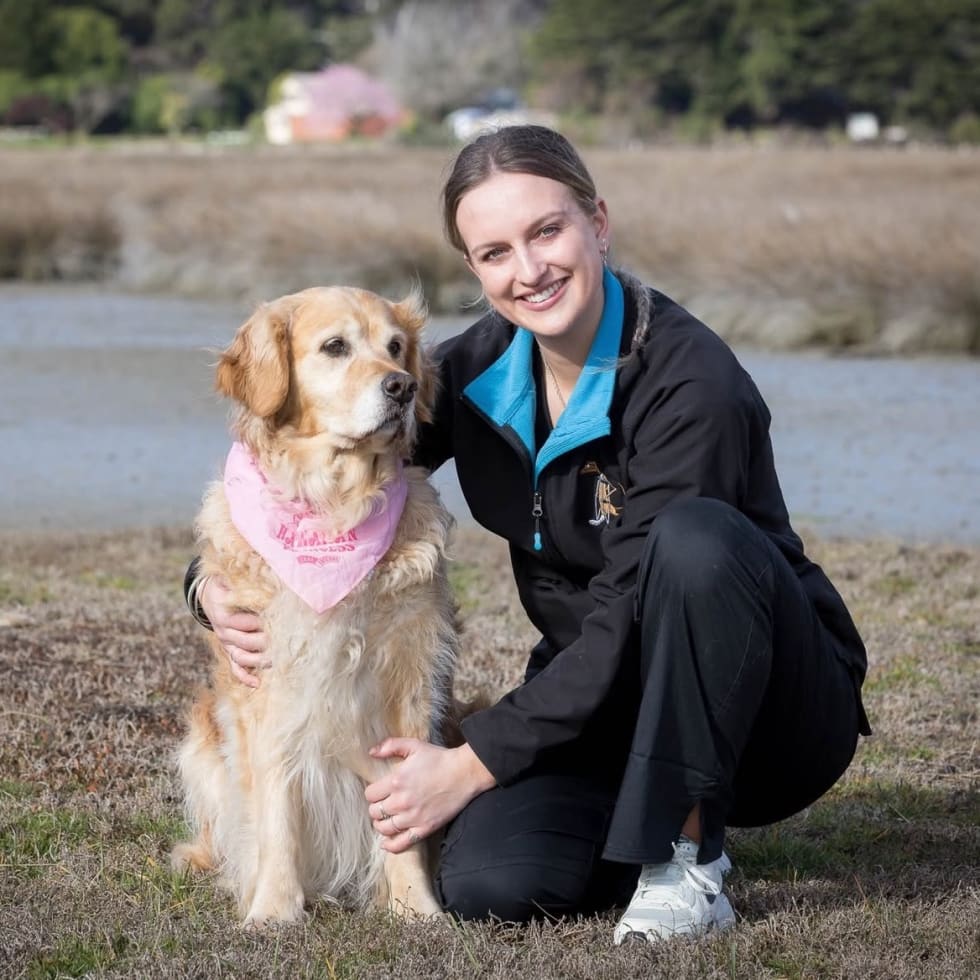 Photo in Sitter's gallery