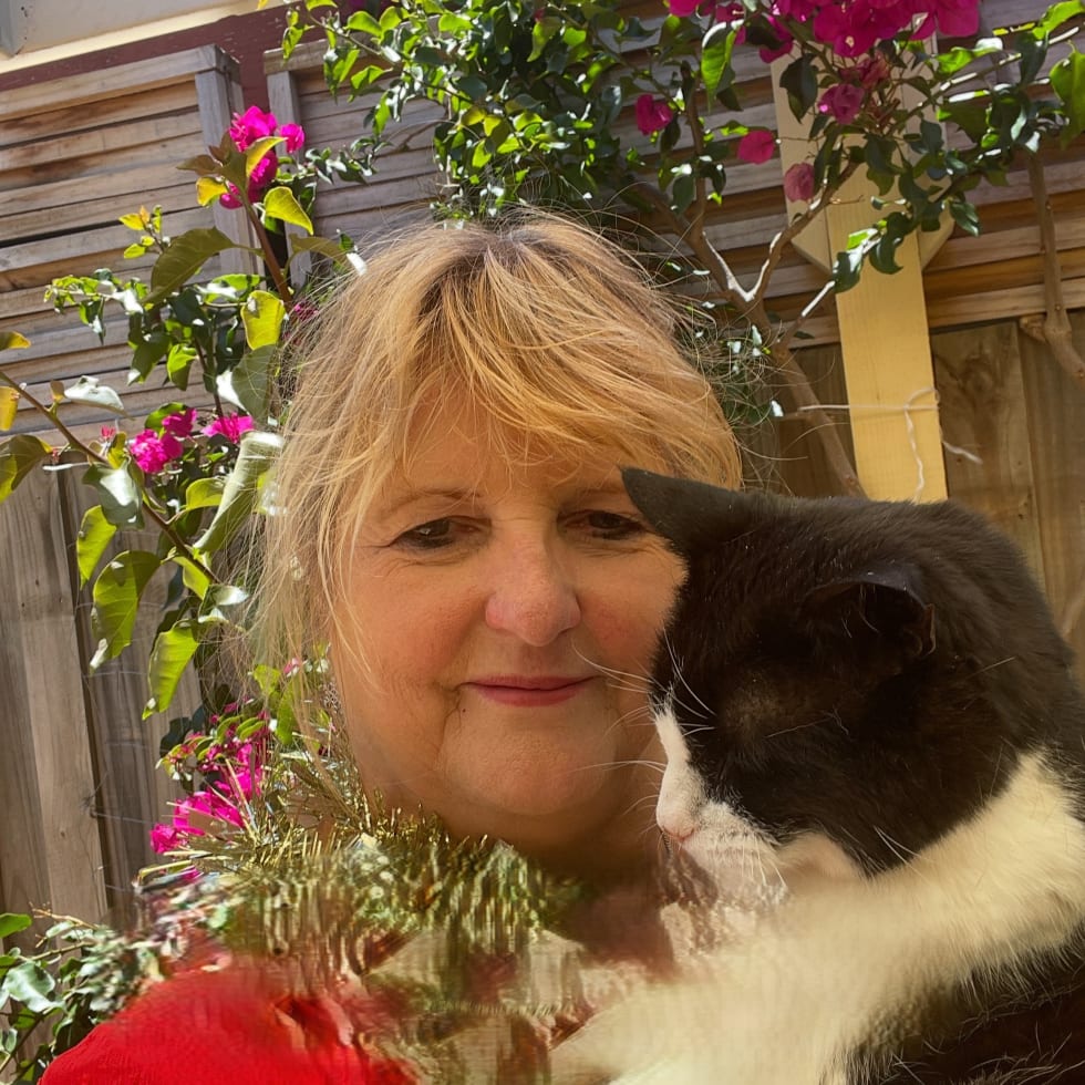 Photo in Sitter's gallery