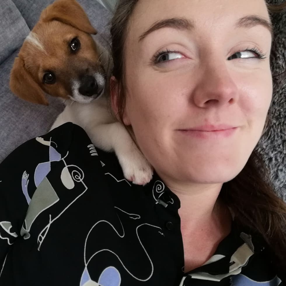 Photo in Sitter's gallery