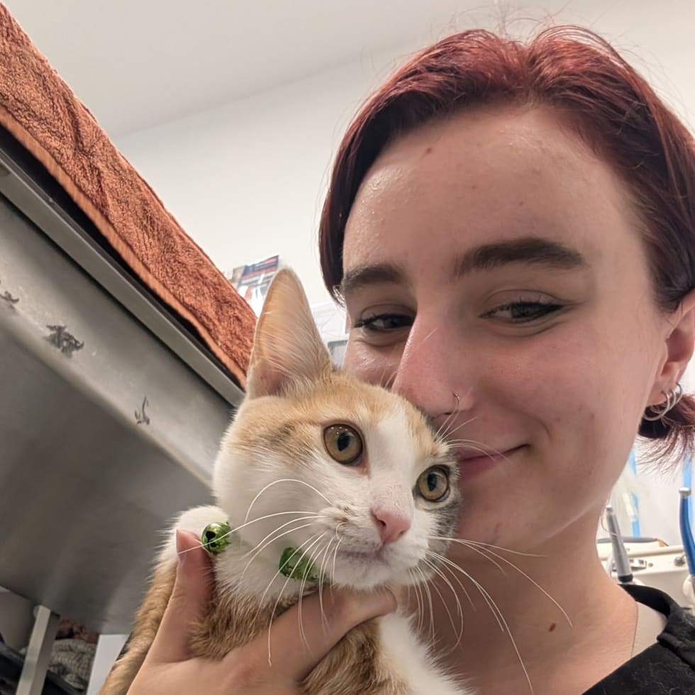 Photo in Sitter's gallery