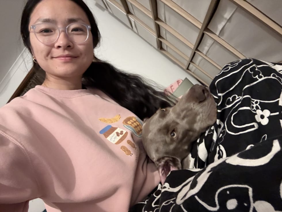 Photo in Sitter's gallery