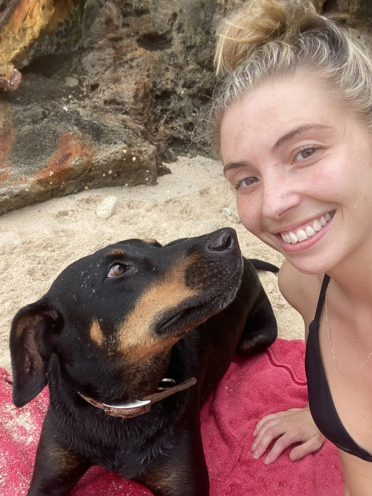 Photo in Sitter's gallery