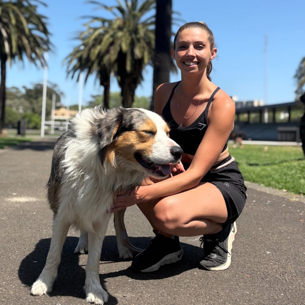 Photo in Sitter's gallery