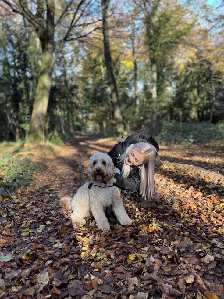 Photo in Sitter's gallery