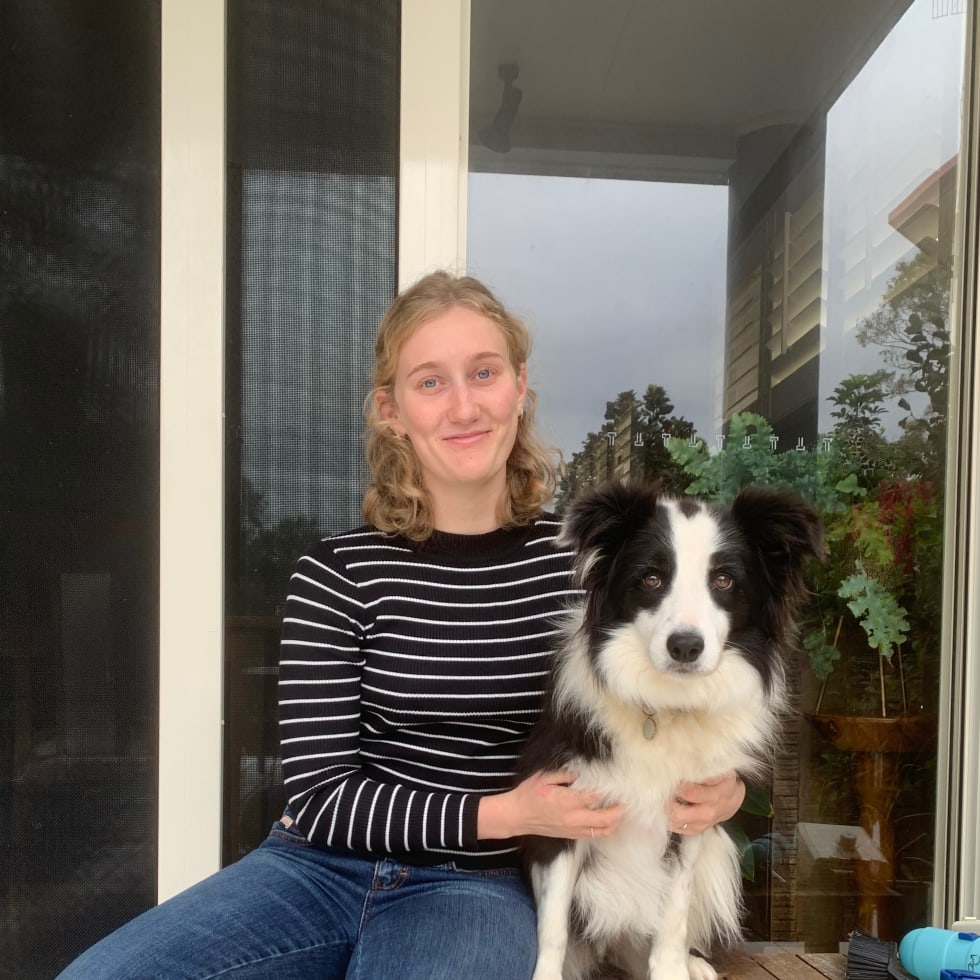 Photo in Sitter's gallery