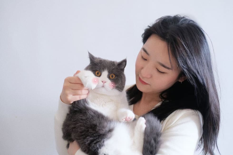 Photo in Sitter's gallery