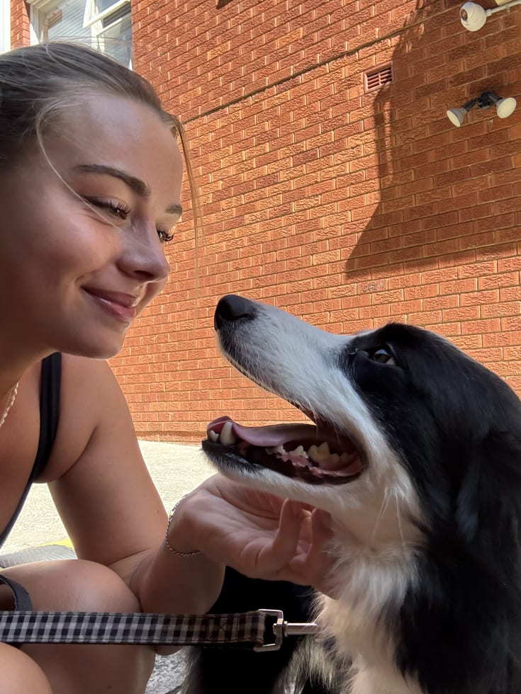 Photo in Sitter's gallery